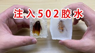 Make cockroaches into crystal specimens