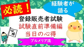 プルメリア流 医薬品登録販売者 番外編【試験直前準備編】「試験直前にしておいた方が良いこと」「当日の心得」