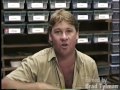 Steve Irwin with a Pygmy Rattlesnake at Brad's World Reptiles