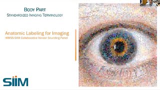 Body Part Standardized Imaging Terminology - Anatomic Labeling for Imaging