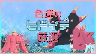 【ポケモン剣盾】害悪と言ったらこいつ!!ヒドイデ色違い厳選400～※気まぐれで配布あり【概要必読】