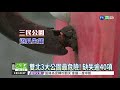 公園不合格逾9成 鞦韆最危險