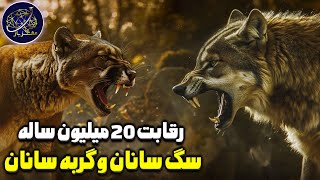 تکامل سگ سانان و گربه سانان و رقابت بین آنها برای میلیون ها سال