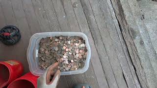 How many coins did I get metal detecting last year? I will show you some.