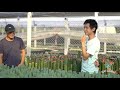 pps พาเที่ยว ep.3 พาเที่ยวสวนกระบองเพชร cactus mania nursery อ.นางรอง จ.บุรีรัมย์