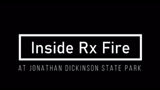Inside Rx Fire at Jonathan Dickinson State Park