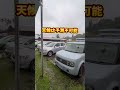 パラオの異常気象！乾季に降るシトシト雨の真実 パラオ 異常気象 旅行情報