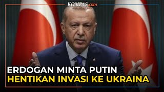 Presiden Turki Meminta Rusia Menghentikan Invasi ke Ukraina