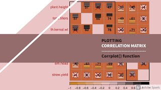 Plotting correlation matrix | Corrplot() function | Rstudio