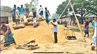 কৃষকদের কাছ থেকে ২৬ টাকা কেজিতে ধান কিনছে সরকার | Somoy TV News