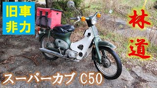 Forest road run  Old HONDA Super Cub C50