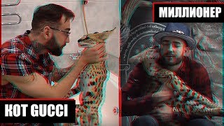 АФОНЯ ПОТРАТИЛ МИЛЛИОН НА GUCCI / САМЫЙ ДОРОГОЙ КОТ В МИРЕ