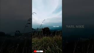 Narangala hill grasses Badulla | நாரங்கல மலையின் புற்கள் பதுளை | Yarl Nike