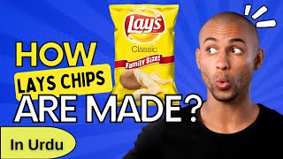 Inside the Factory: How Lays Chips Are Made!🏢