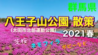 【八王子山公園 芝桜2021春】（太田市北部運動公園）/ Ota Hachioujiyama  Park / Moss phlox