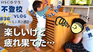 お家から離れた１日・３か月ぶりに森のようちえんへ【#36】HSC息子の不登校VLOG～11月2週目～