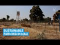 Sustainable Farming in Mali - Follow Your Donations | Islamic Relief UK