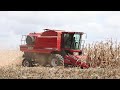 The CASE IH Axial 4088 HD in Action harvesting maize.