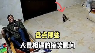 盘点人鼠相遇搞笑场面，人鼠大战一触即发，原来猛男也怕老鼠