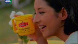 Lipton 1