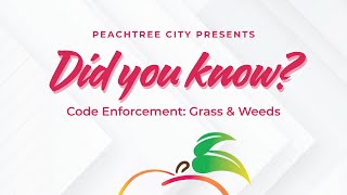 Code Enforcement: Grass and Weeds