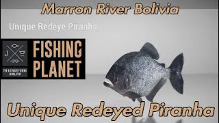 Unique Redeyed Piranha - Marron River Bolivia - Fishing Planet