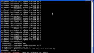 rdp4Postgres client restore