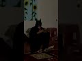 😍بلاخره بتمن عاشق شد😍 🦇عشق به سراغت میاد حتی اگه بتمن باشی🦇 batman explore