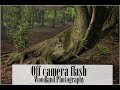 Off camera flash !! how to add a new dimension to your Woodland photography