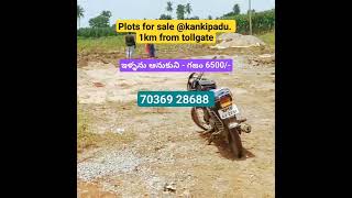 Open Plots for sale in Vijayawada | Kankipadu | 6500/- Sq yd | #vijayawada