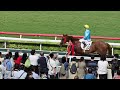 2024巴黎奧運中國香港隊賽馬日 第10場 102 氣勢 潘頓 wunderbar zac purton 香港 沙田馬場 2024年10月13日