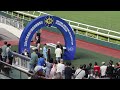 2024巴黎奧運中國香港隊賽馬日 第10場 102 氣勢 潘頓 wunderbar zac purton 香港 沙田馬場 2024年10月13日