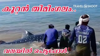 പൂന്തുറയിൽ കരമടി വലയിൽ കുടുങ്ങിയ തിമിംഗലം #travelvlog #fishingvideo #cookingvideo