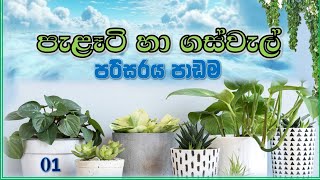 | පරිසරය පාඩම | පැළෑටි හා ගස්වැල් | Primary |3ශ්‍රේණිය Parisaraya padam | palati ha gaswel @නැණපියස