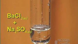 Double Displacement Sodium Sulfate and Barium Chloride