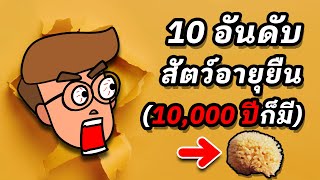 10 อันดับ สิ่งมีชีวิตที่อายุยืนยาวที่สุด (นานเป็น 10,000 ปี)