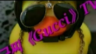 구찌《Gucci》TV 라이브 방송