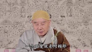 淨土大經科註【15】85~90 淨空法師 第三回宣講