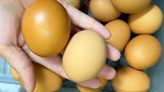 When buying eggs, you only need to take a look here, the real and fake earthen eggs will appear