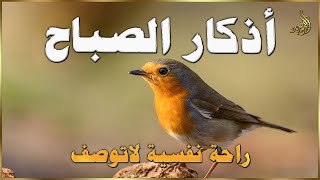 اذكار الصباح☀️راحة نفسية لا توصف💚حصن نفسك وبيتك من الشيطان | علاء عقل | Morning Athkar - by Alaa Aql