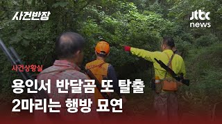 4개월 만에 또…용인 농장 '반달가슴곰' 5마리 탈출, 2마리 행방 묘연 / JTBC 사건반장