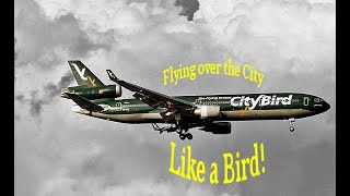 Less than 5 minute History of the Dragon Wings City Bird  MD-11 in an all Green Livery