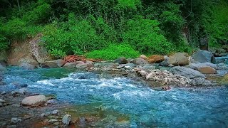 Soothing Stream Ambience Pure Water Sounds for Relaxation and Focus