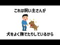 【雑学】意外と知らない犬に関する雑学🐶