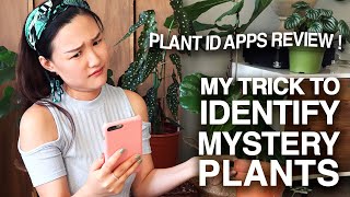 HOW TO IDENTIFY PLANTS WHILE HOUSEPLANT SHOPPING! | USING PLANT ID APPS ON MY HOUSEPLANT COLLECTION