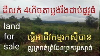 landforsale.Ep28. ដីលក់4ហិចតាប្លង់រឹង ភូមិឈូក កូនក្រៀល សំរោងខេត្តឧត្តរមានជ័យ telegram +855977067164