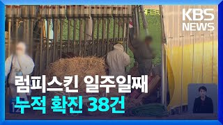 럼피스킨병 확진 38건으로 늘어…6개 시도·12개 시군 / KBS  2023.10.26.