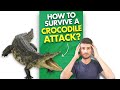 What if a Crocodile Bites You?