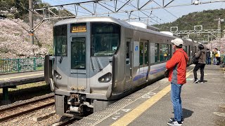 【桜満開！】阪和線山中渓駅 225系紀州路快速が発着