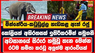 මින්නේරිය-කවුඩුල්ල ඇත් රජු කෝලියත් අභිරහසක් ඉතිරිකරමින් සමුගනී රටම කම්පා කරවූ අලුත්ම ආරංචිය මෙන්න